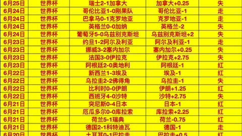 美加墨世界杯 100807 0