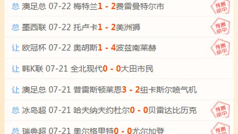 美加墨世界杯，世界杯足球， 102004 89